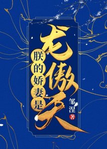 朕的娇妻是龙傲天(女穿男)