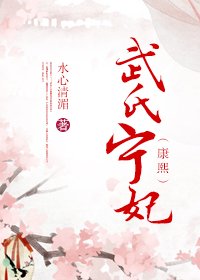 康熙之武氏宁妃/武氏宁妃(康熙)